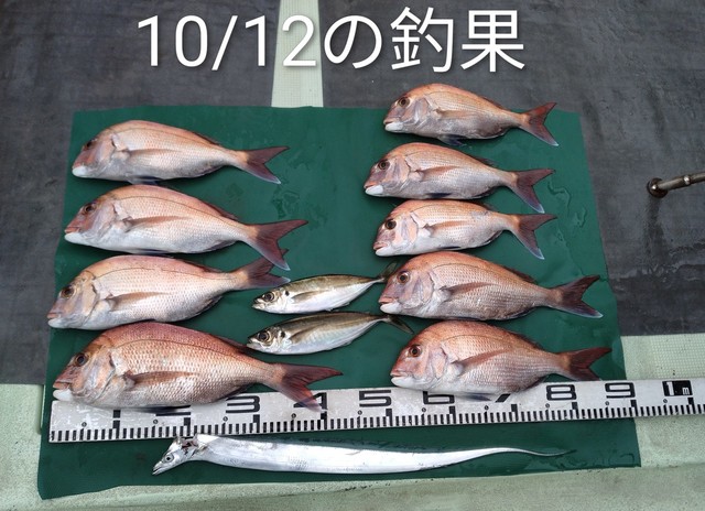 マダイ・マアジ・タチウオ