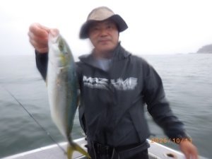 ハマチ(ブリ)