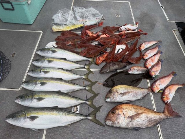 マダイ・ハマチ(ブリ)・アマダイ(アカアマダイ)・ホウボウ・ヒラメ