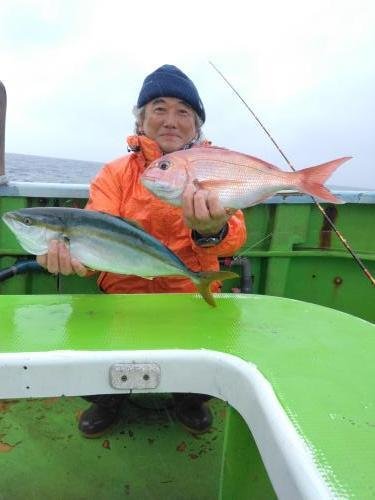 マダイ・イナダ(ブリ)