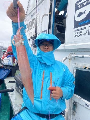 スルメ(スルメイカ)