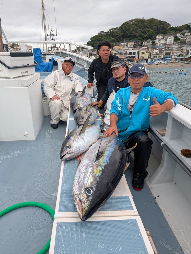 キハダマグロ(キハダ)