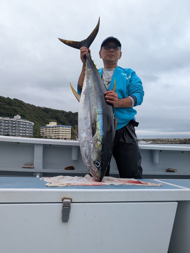 キハダマグロ(キハダ)