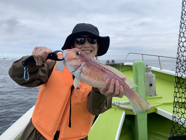 アマダイ(アカアマダイ)