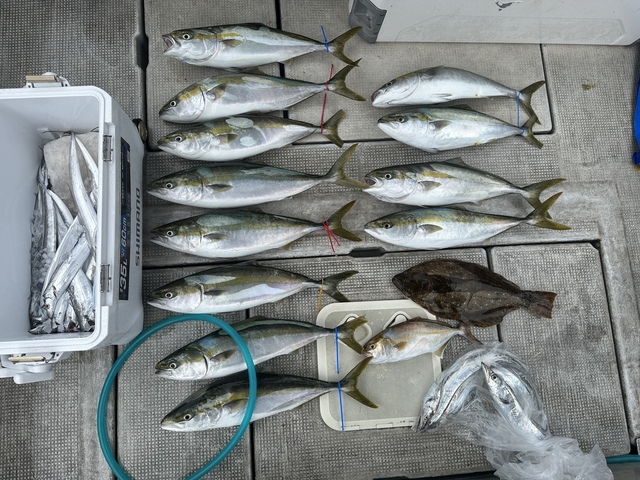 メジロ(ブリ)・シオ(カンパチ)・タチウオ・ヒラメ