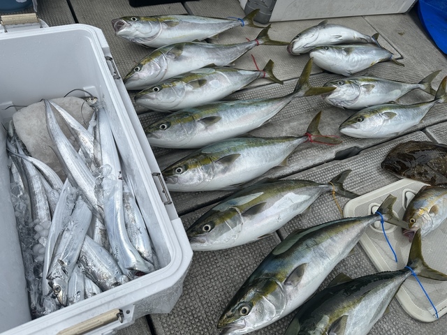 メジロ(ブリ)・シオ(カンパチ)・タチウオ・ヒラメ