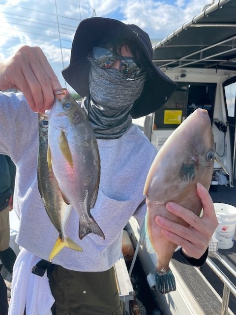 イサキ・ウマヅラ(ウマヅラハギ)