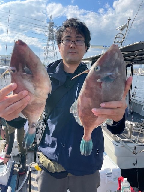 ウマヅラ(ウマヅラハギ)