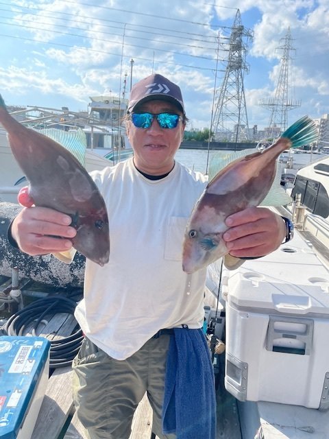 ウマヅラ(ウマヅラハギ)