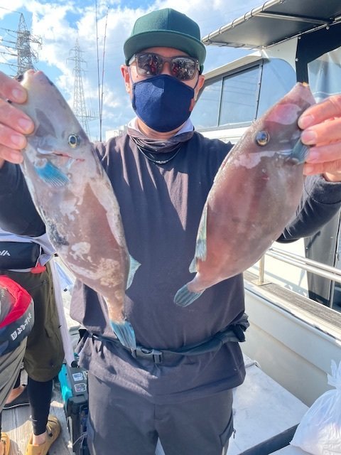 ウマヅラ(ウマヅラハギ)