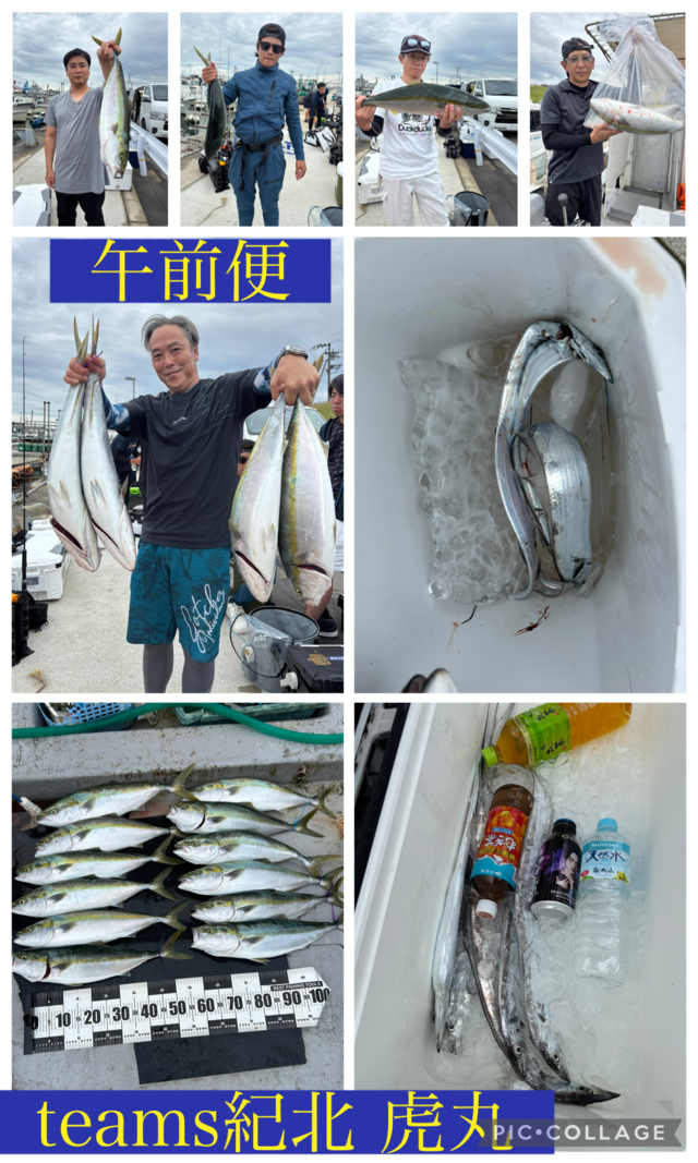 メジロ(ブリ)・タチウオ