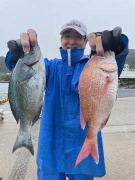 マダイ・メジナ