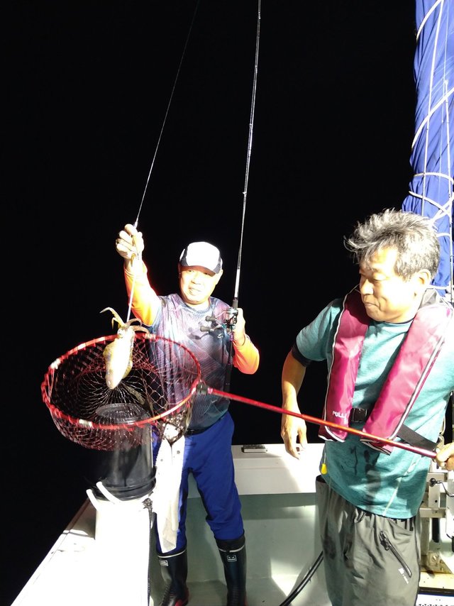 イカ(ケンサキイカ)