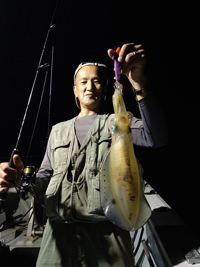 イカ(ケンサキイカ)