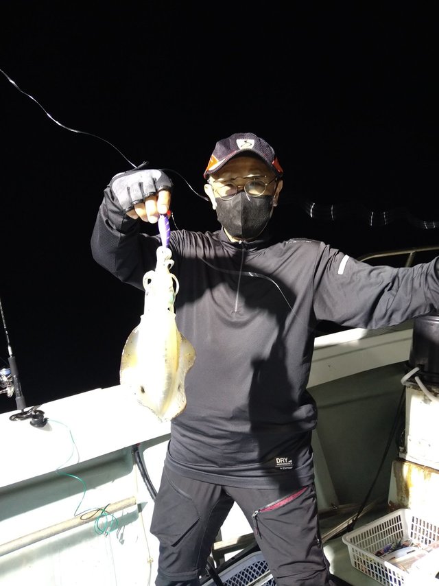 イカ(ケンサキイカ)