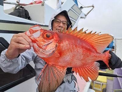 キントキ(チカメキントキ)