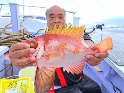 キントキ(チカメキントキ)