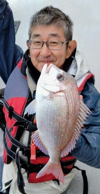 ハナダイ(チダイ)