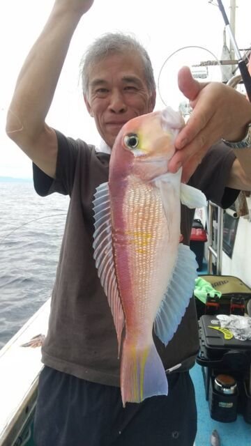 アマダイ(アカアマダイ)