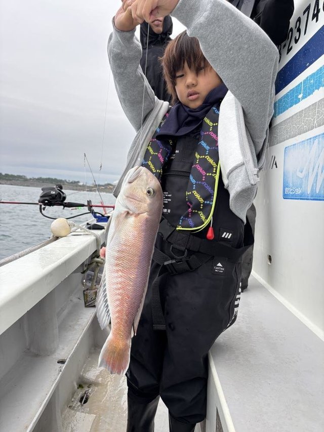 アマダイ(アカアマダイ)