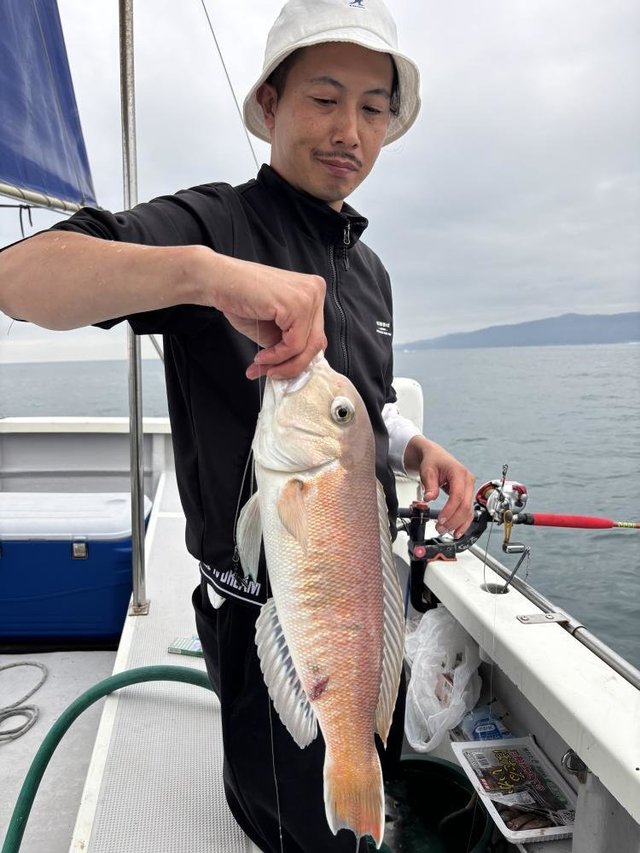 アマダイ(アカアマダイ)