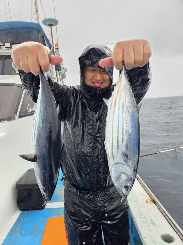 ホンガツオ(カツオ)