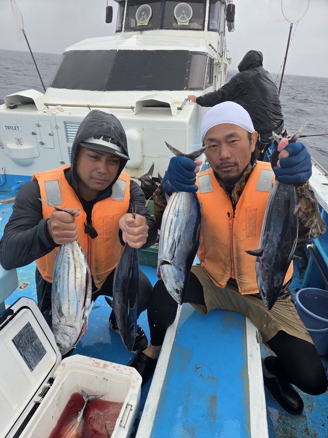 ホンガツオ(カツオ)