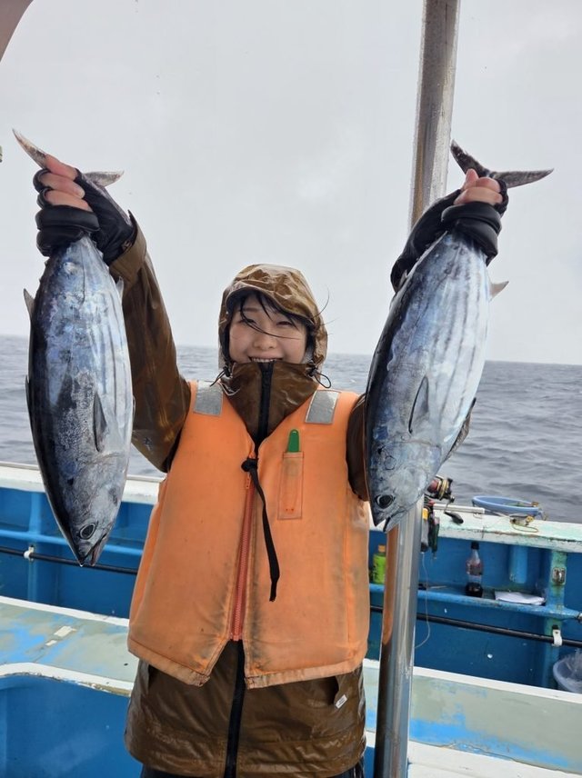 ホンガツオ(カツオ)