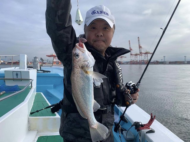 イシモチ(シログチ)