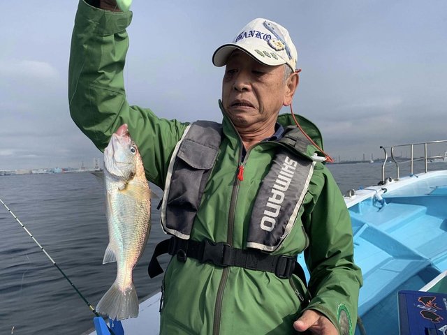 イシモチ(シログチ)