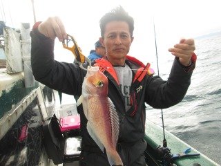 アマダイ(アカアマダイ)