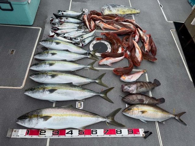 マハタ・ヒラマサ・カンパチ・ホウボウ・サバ(ゴマサバ)