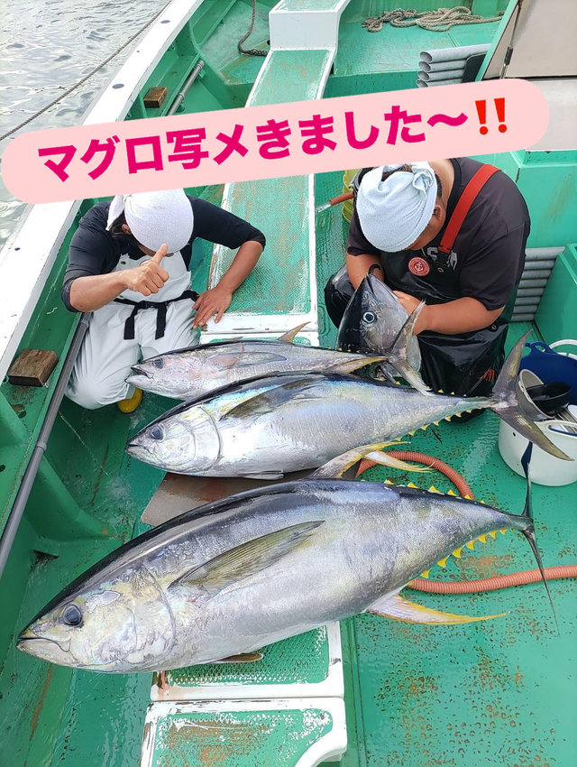 マグロ(キハダ)