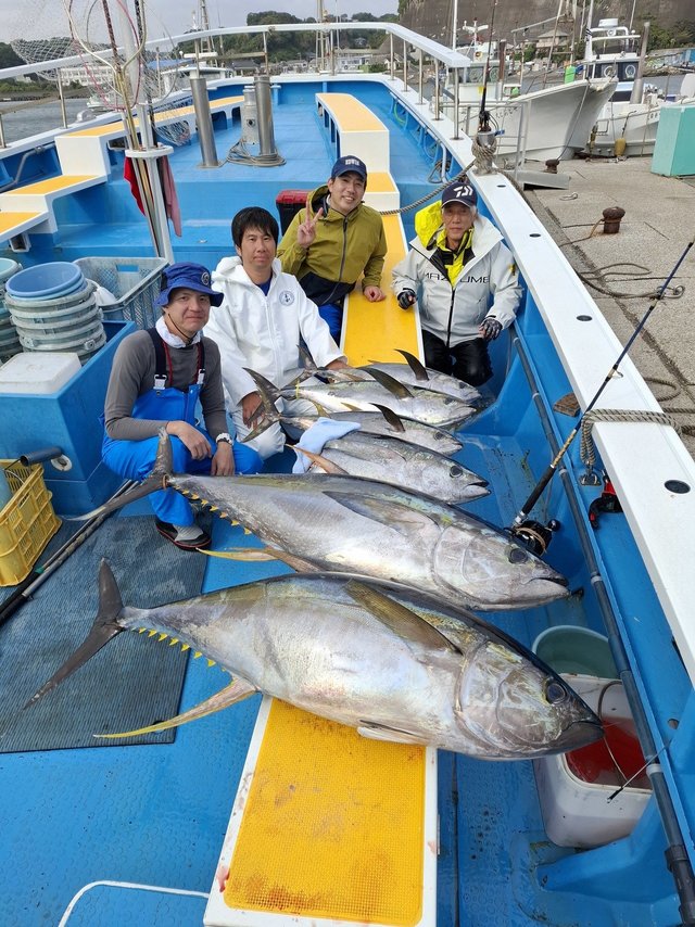 キハダ・キメジ(キハダ)