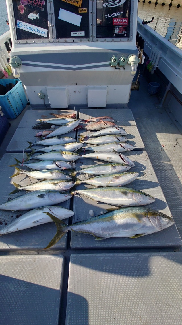 マダイ・ヤズ(ブリ)・ヒラマサ