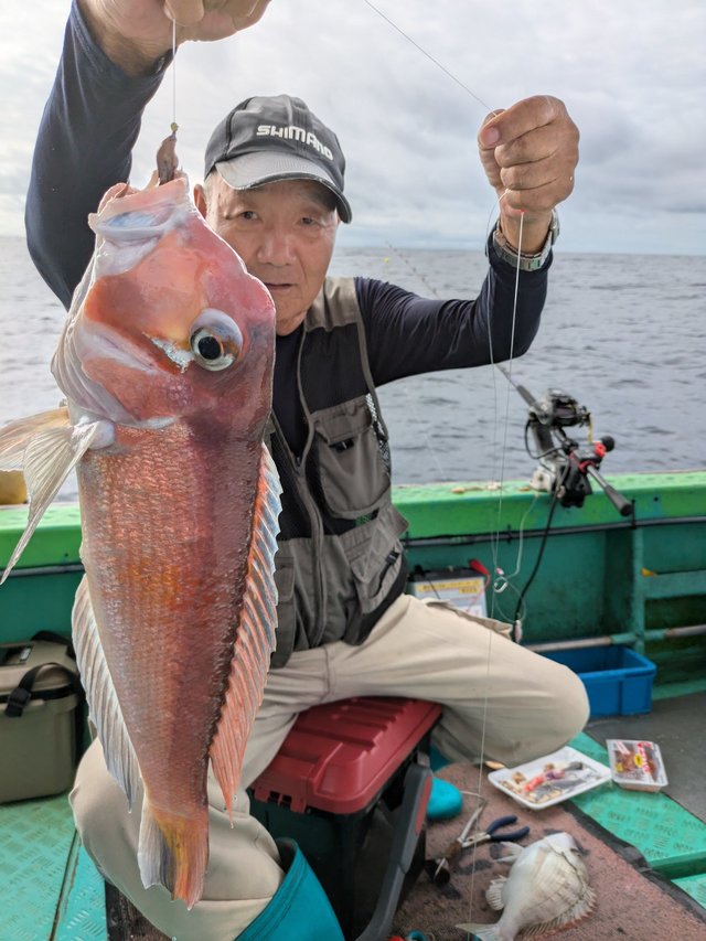 アマダイ(アカアマダイ)