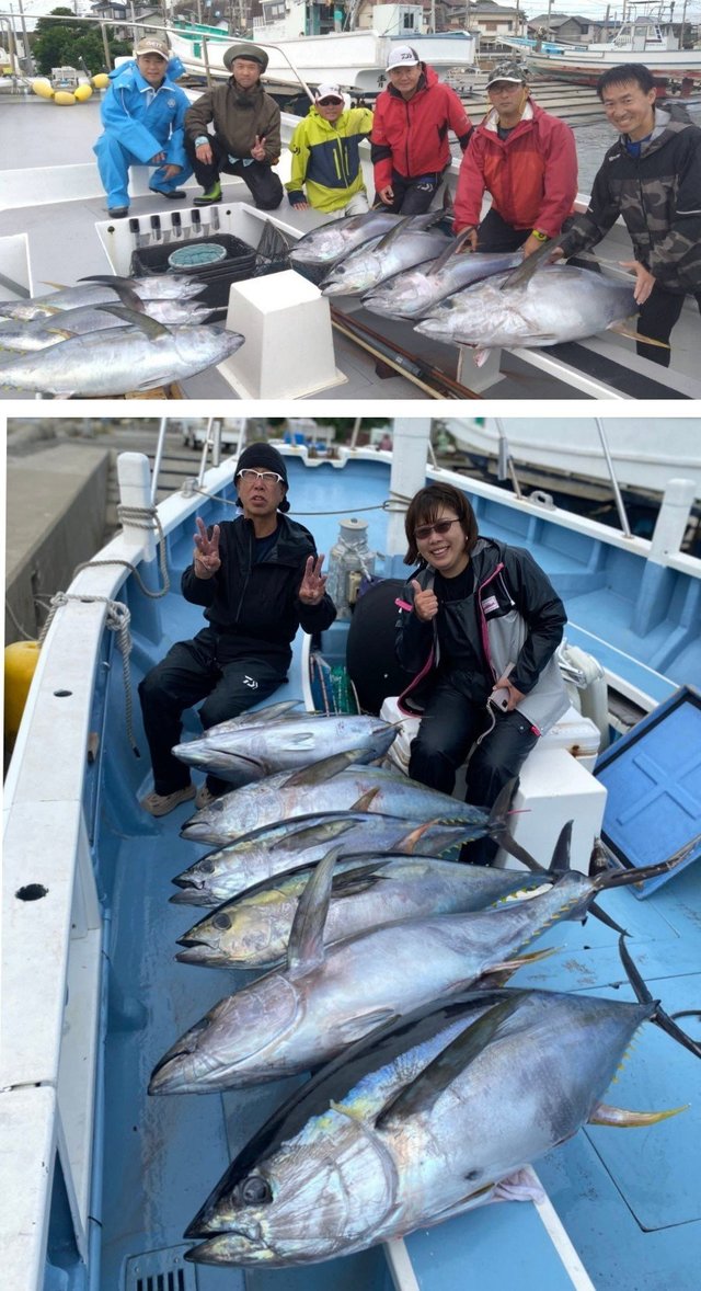 キハダマグロ(キハダ)