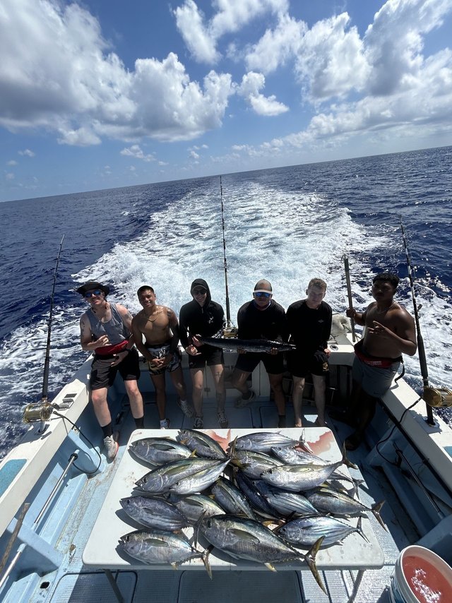 キハダ・カツオ