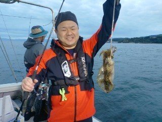 アオリ(アオリイカ)