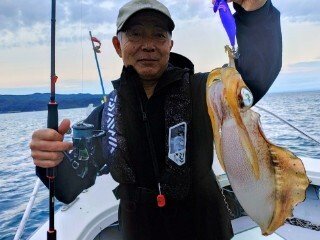 アオリ(アオリイカ)