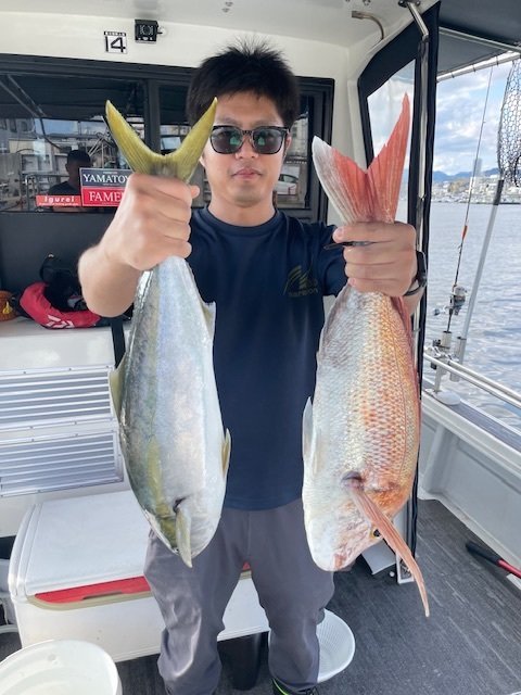 マダイ・ハマチ(ブリ)