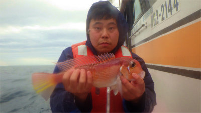 アマダイ(アカアマダイ)