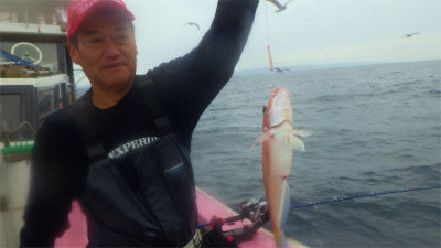 アマダイ(アカアマダイ)