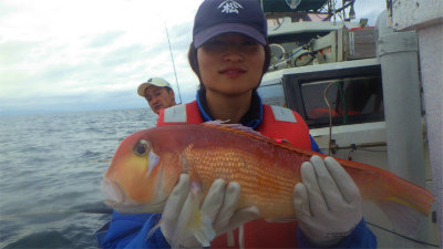 アマダイ(アカアマダイ)