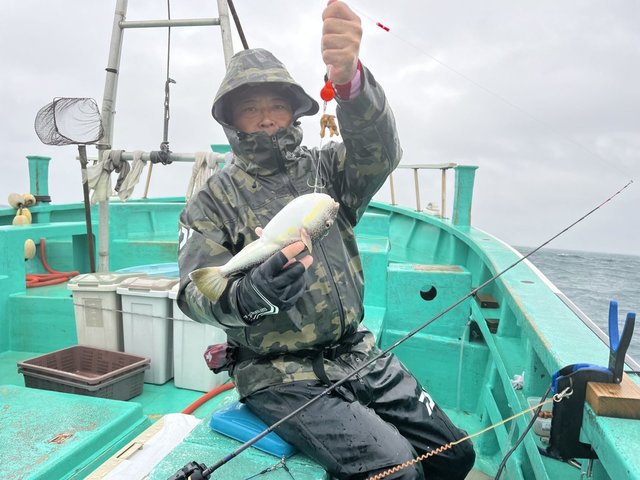 ショウサイフグ