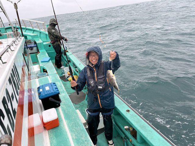 ショウサイフグ