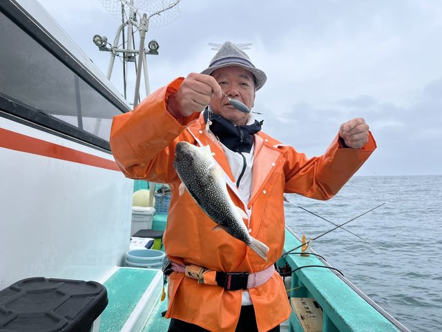 ショウサイフグ