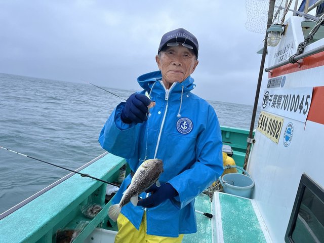 ショウサイフグ