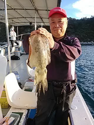 モンゴウイカ(カミナリイカ)