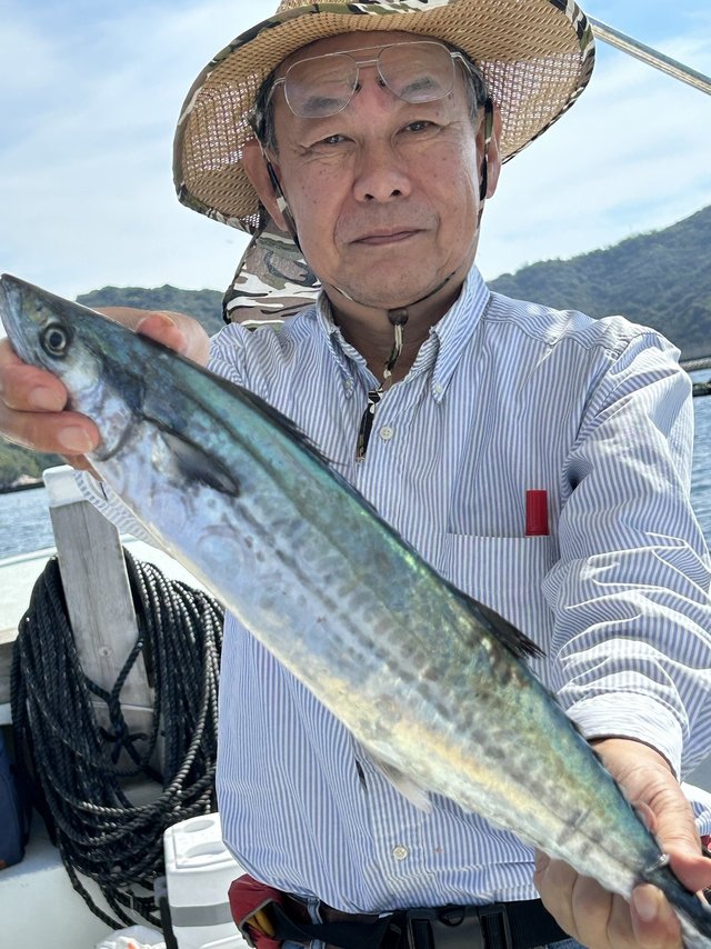 サゴシ(サワラ)